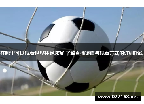 在哪里可以观看世界杯足球赛 了解直播渠道与观看方式的详细指南
