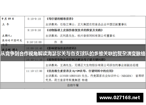 从竞争到合作视角解读海瑟尔关与各支球队的多维关联的复杂演变脉络