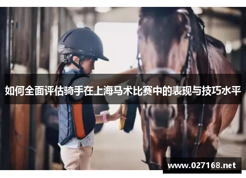 如何全面评估骑手在上海马术比赛中的表现与技巧水平
